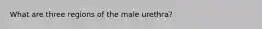 What are three regions of the male urethra?