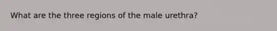 What are the three regions of the male urethra?