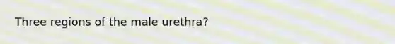 Three regions of the male urethra?