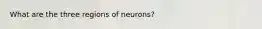 What are the three regions of neurons?