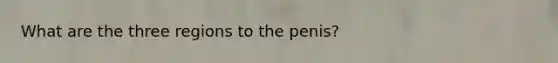 What are the three regions to the penis?