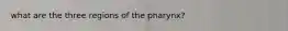what are the three regions of the pharynx?