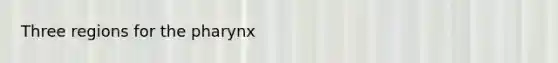 Three regions for the pharynx