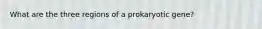 What are the three regions of a prokaryotic gene?