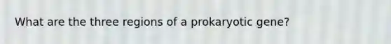 What are the three regions of a prokaryotic gene?