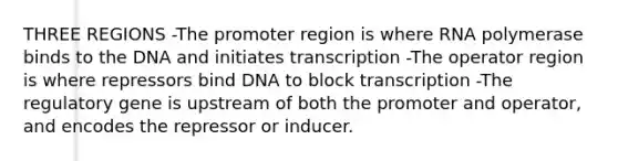 THREE REGIONS -The promoter region is where RNA polymerase binds to the DNA and initiates transcription -The operator region is where repressors bind DNA to block transcription -The regulatory gene is upstream of both the promoter and operator, and encodes the repressor or inducer.