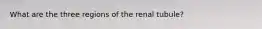 What are the three regions of the renal tubule?