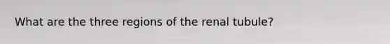 What are the three regions of the renal tubule?