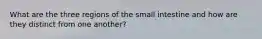 What are the three regions of the small intestine and how are they distinct from one another?