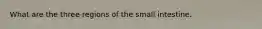 What are the three regions of the small intestine.