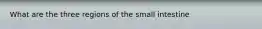 What are the three regions of the small intestine