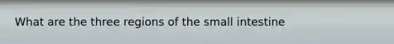 What are the three regions of the small intestine