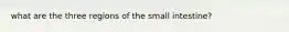 what are the three regions of the small intestine?