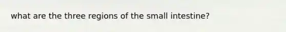 what are the three regions of the small intestine?