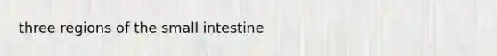 three regions of <a href='https://www.questionai.com/knowledge/kt623fh5xn-the-small-intestine' class='anchor-knowledge'>the small intestine</a>