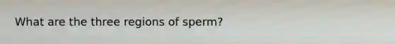 What are the three regions of sperm?