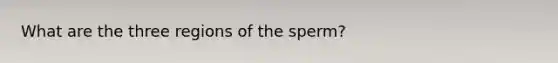 What are the three regions of the sperm?