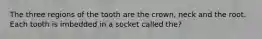 The three regions of the tooth are the crown, neck and the root. Each tooth is imbedded in a socket called the?