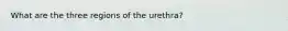 What are the three regions of the urethra?