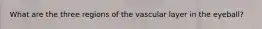 What are the three regions of the vascular layer in the eyeball?
