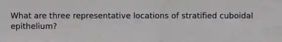 What are three representative locations of stratified cuboidal epithelium?