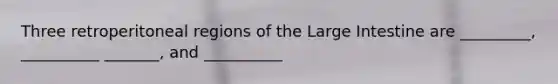 Three retroperitoneal regions of the <a href='https://www.questionai.com/knowledge/kGQjby07OK-large-intestine' class='anchor-knowledge'>large intestine</a> are _________, __________ _______, and __________