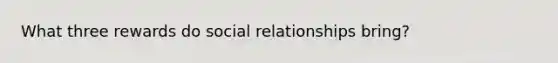 What three rewards do social relationships bring?