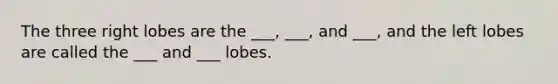 The three right lobes are the ___, ___, and ___, and the left lobes are called the ___ and ___ lobes.