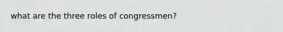 what are the three roles of congressmen?