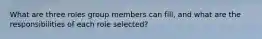 What are three roles group members can fill, and what are the responsibilities of each role selected?