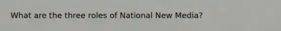 What are the three roles of National New Media?