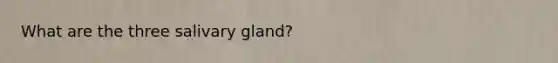 What are the three salivary gland?