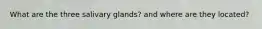 What are the three salivary glands? and where are they located?