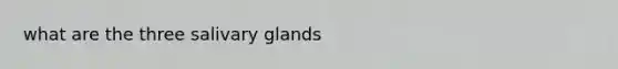 what are the three salivary glands