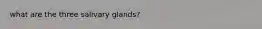 what are the three salivary glands?