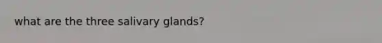 what are the three salivary glands?