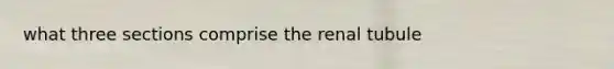 what three sections comprise the renal tubule