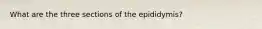 What are the three sections of the epididymis?