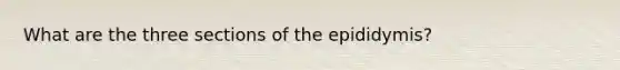 What are the three sections of the epididymis?