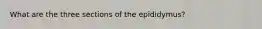 What are the three sections of the epididymus?