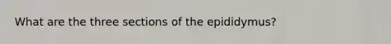 What are the three sections of the epididymus?