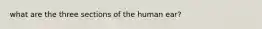 what are the three sections of the human ear?