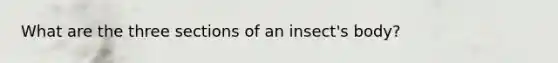 What are the three sections of an insect's body?