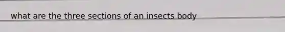 what are the three sections of an insects body