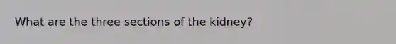 What are the three sections of the kidney?