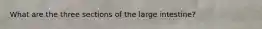 What are the three sections of the large intestine?