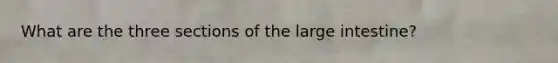 What are the three sections of the large intestine?