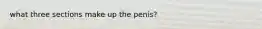 what three sections make up the penis?