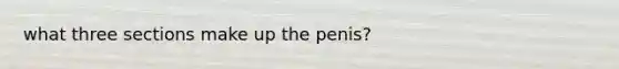 what three sections make up the penis?