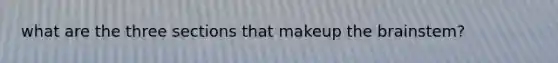 what are the three sections that makeup the brainstem?
